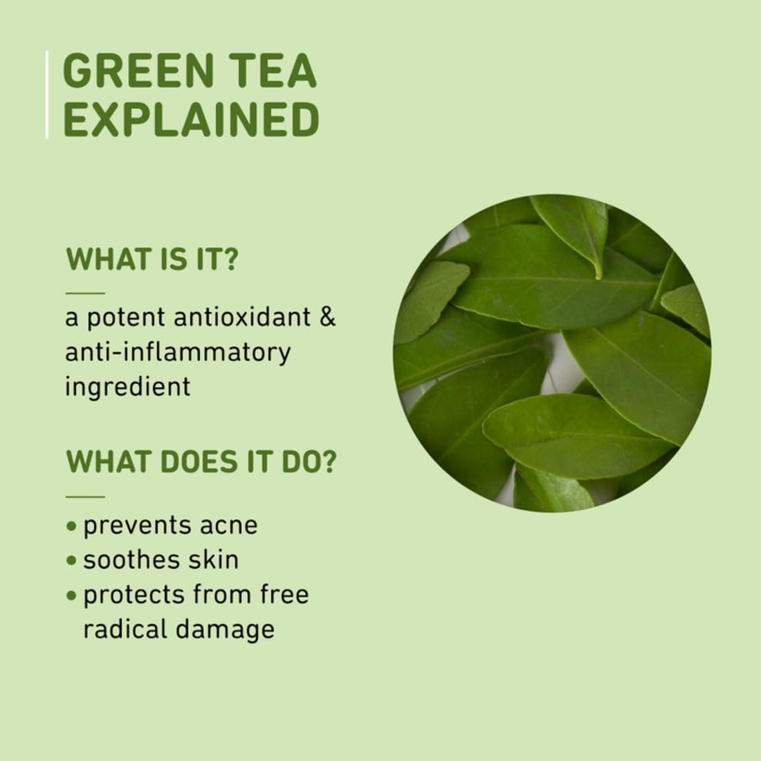 Plum Green Tea Renewed Clarity Night Gel Mini | Hydrates Skin & Fights Acne | Lightweight, Quick-Absorbing, Non-Sticky Gel Texture | Oily, Acne-Prone Skin | 100% Vegan(15ml)