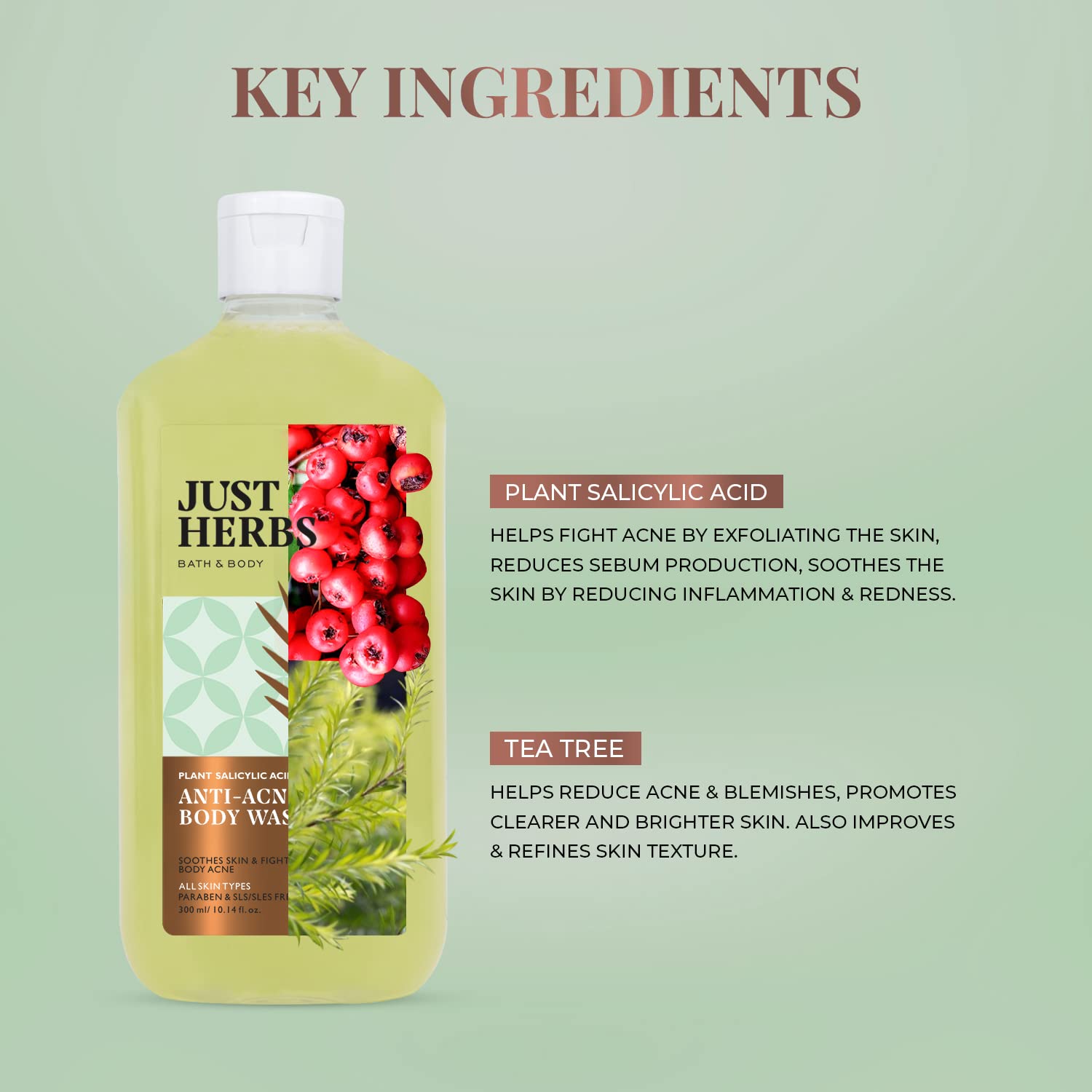 Just Herbs Tea Tree Anti - Acne Body Wash with Plant Salicylic Acid for Men & Women 300ml