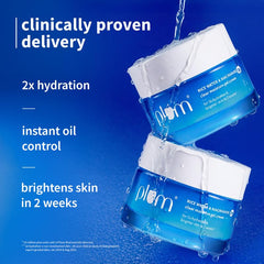 Plum 2% Niacinamide & Rice Water Superlight Gel Cream Winter Moisturizer for Face | 2X Oil-Free Hydration | Brightens, Fades Blemishes | Dermat-Tested | All Skin Types | Women & Men | 100% Vegan | 25 g