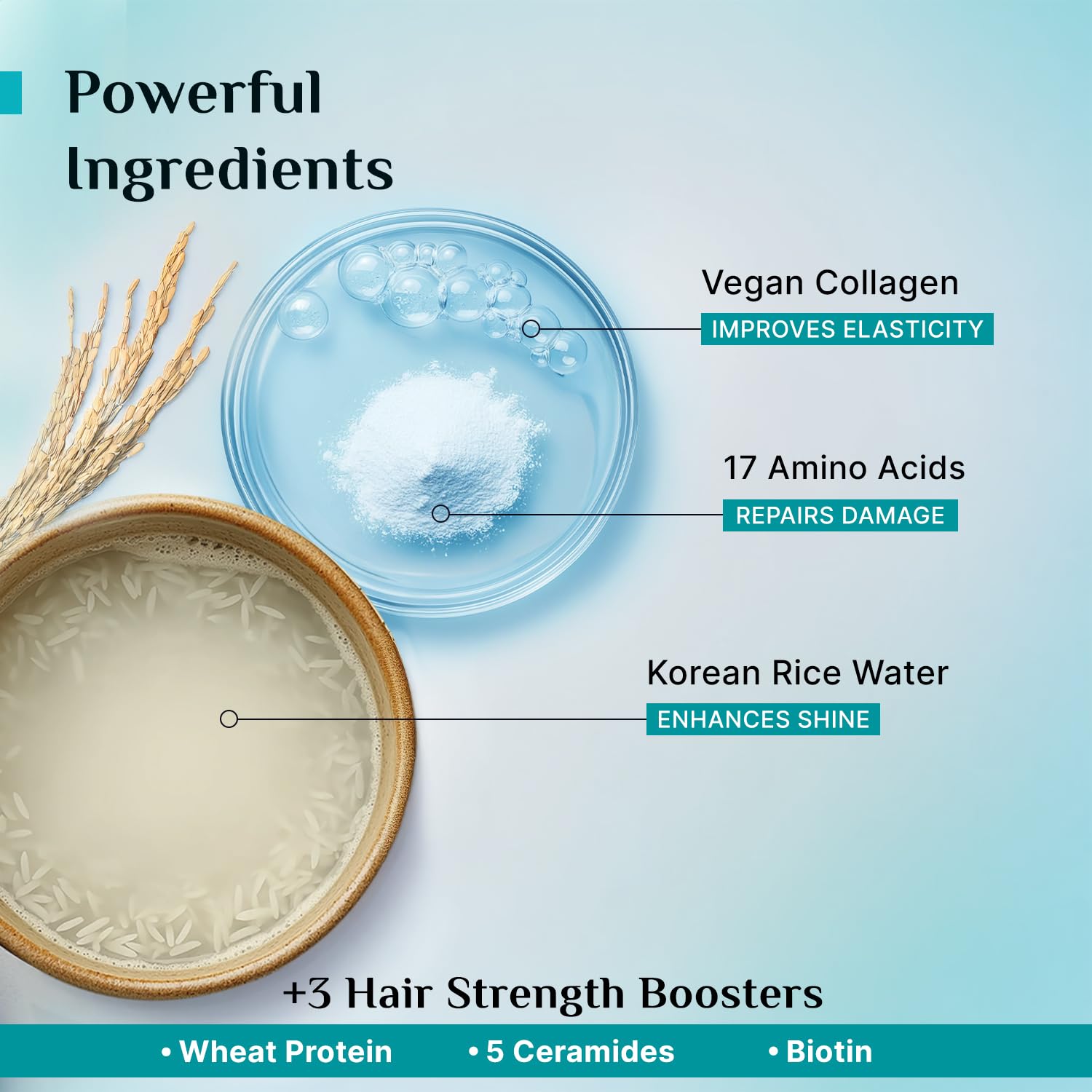 Pilgrim Korean Rice Water & Collagen Advanced Damage Repair Mask – 200Gm | Deep Repair for Dry, Frizzy & Damaged Hair | With 17 Amino Acids, Wheat Protein & Ceramides | Paraben-Free | For Women & Men