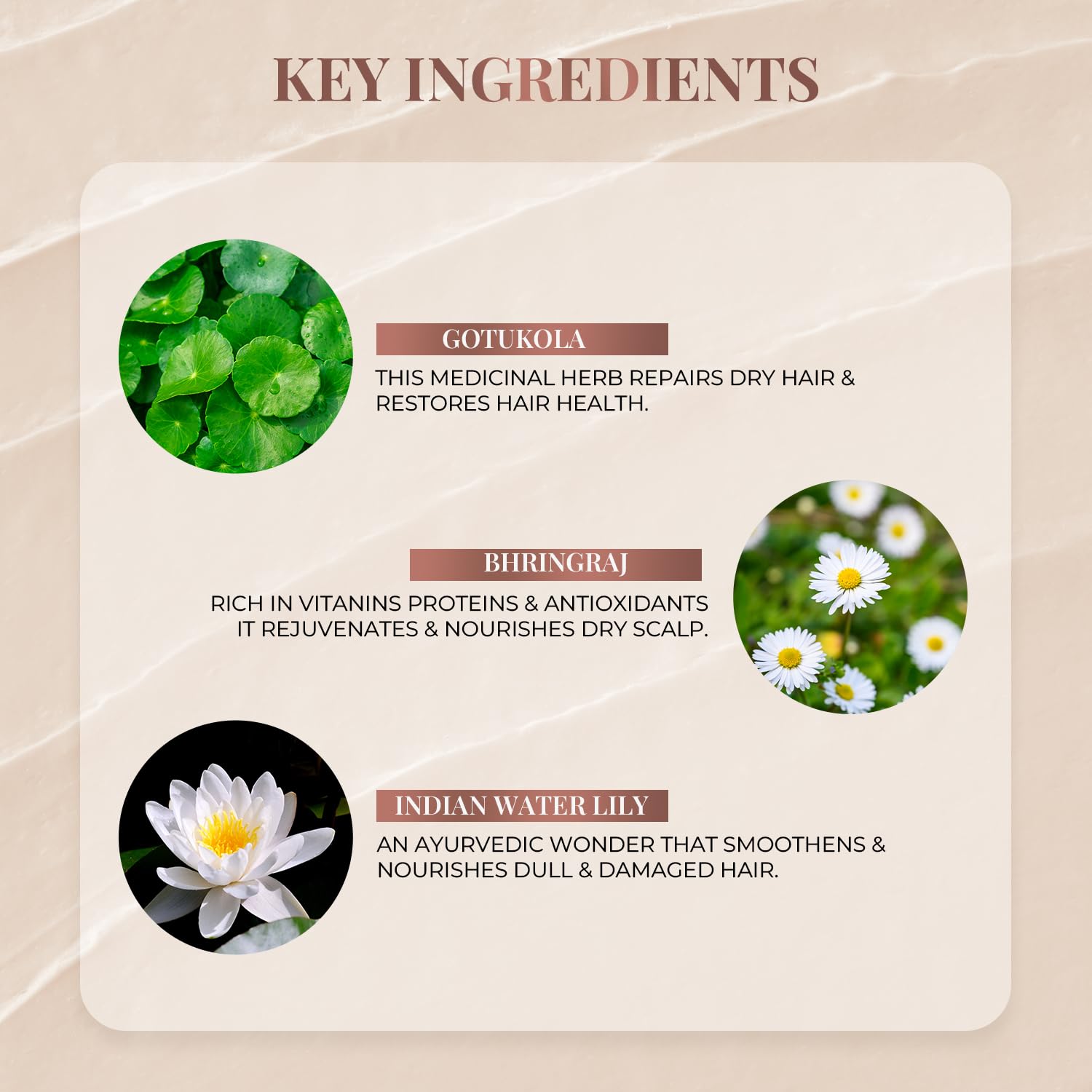 Just Herbs Ayurvedic Kumuda Indian White Water Lily Conditioner | Natural Conditioner For All Hair Types | Controls Frizz & Nourishes Hair | Sulphate & Paraben Free- 200 ml