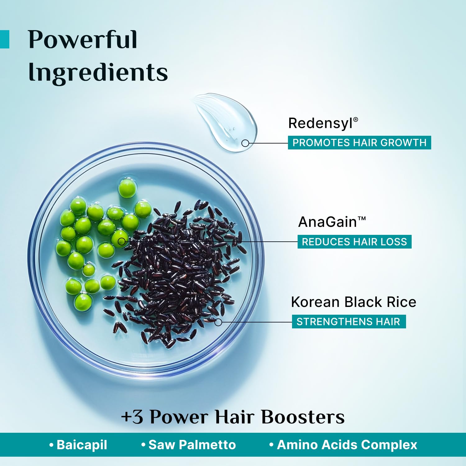 Pilgrim Redensyl 3% + Anagain 4% Advanced Hair Growth Serum (100ml) with Korean Black Rice, Controls Hair Fall, Stimulates Hair Growth, Increase Hair Density | HairGrowth Serum for Men & Women
