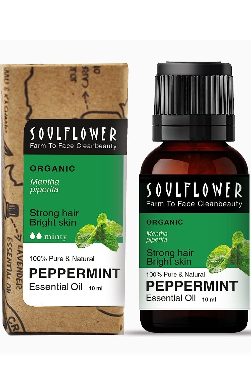 Soulflower Peppermint Essential Oil for Skin & Hair Growth, Hair Fall Control, Scalp |100% Pure & Natural Therapeutic Grade, Undiluted, Ecocert Cosmos Organic Certified, Mentha Piperita |10ml