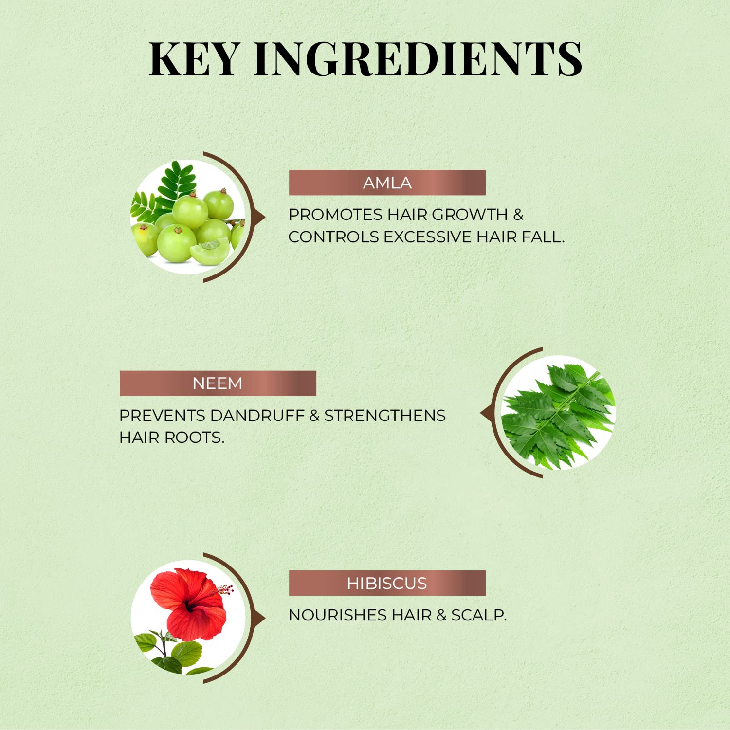 Just Herbs Ayurvedic 8 in 1 Root Nourishing Amla Neem Hair Fall Control Shampoo | Controls Hair Fall & Hair Breakage | Ayurvedic Shampoo | All Hair Types | Sulphate & Paraben Free - 200 ml
