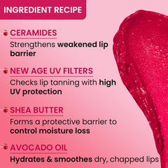 Dot & Key Barrier Repair Hydrating Lip Balm SPF 50 | Cherry Crimson | Repairs Damaged Lip Barrier | High Tinted | 4.5 gm