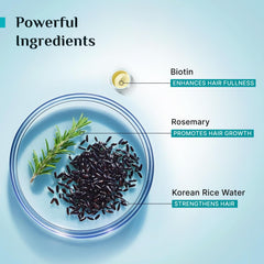 Pilgrim Korean Black Rice and Rosemary Water Spray With Biotin For Strong, Nourished Hair 200ml | Spray for Regrowth | Thicker & Stronger Hair | Sulphate & Paraben Free I For Women for Men