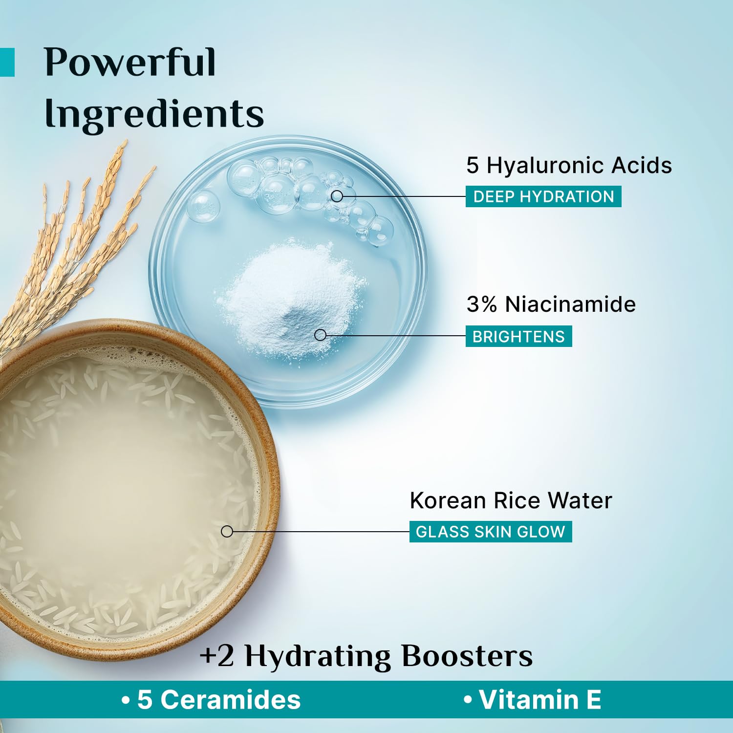Pilgrim Korean Rice Water Hydra Glow Moisturizer 100Gm with 5 Hyaluronic Acids, 3% Niacinamide, 5 Ceramides | 5x Hydration & Instant Glass Skin | Oil-Free, Lightweight Gel | All SkinTypes | Women,Men
