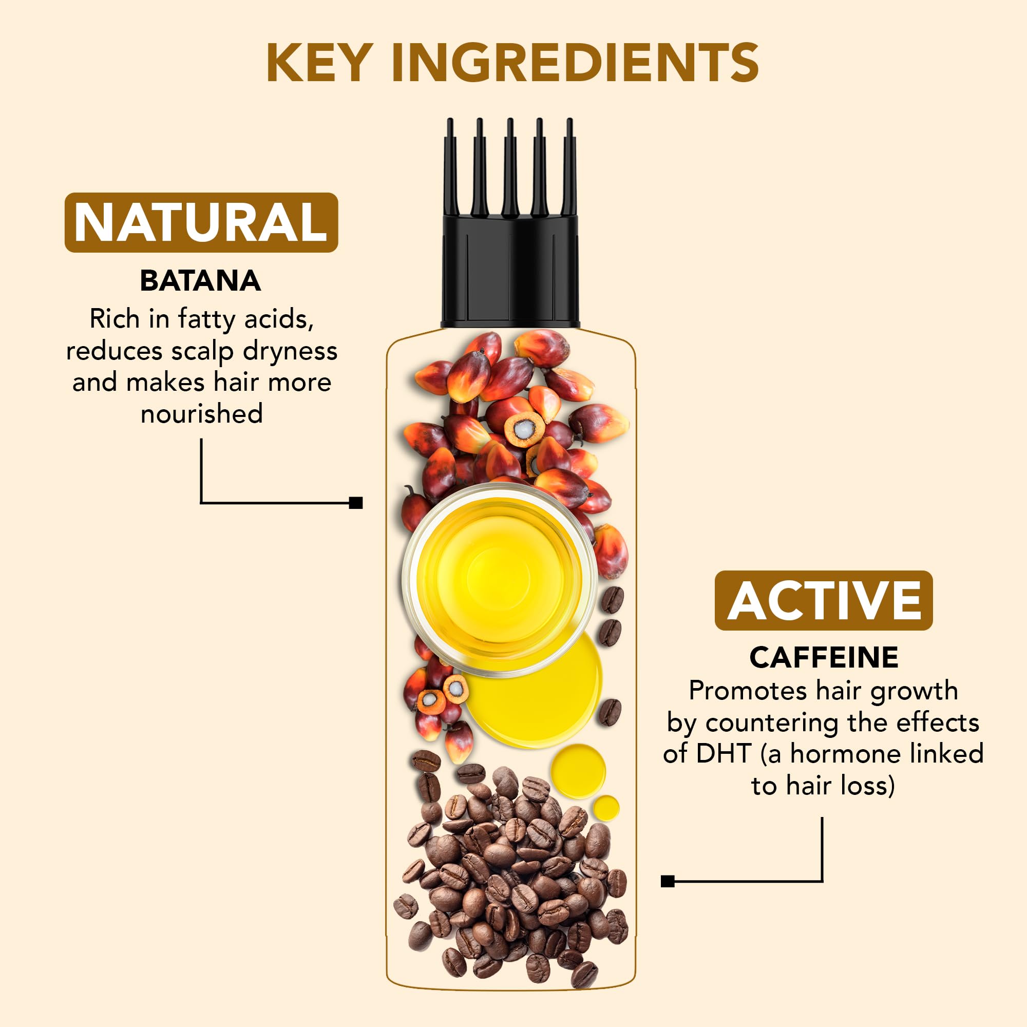 Botanic Hearth Batana Caffeine Hair Oil with Almond – 150ml – Nourishing & Strengthening Hair Treatment, Promotes Healthy Hair Growth, Enhances Shine & Moisture