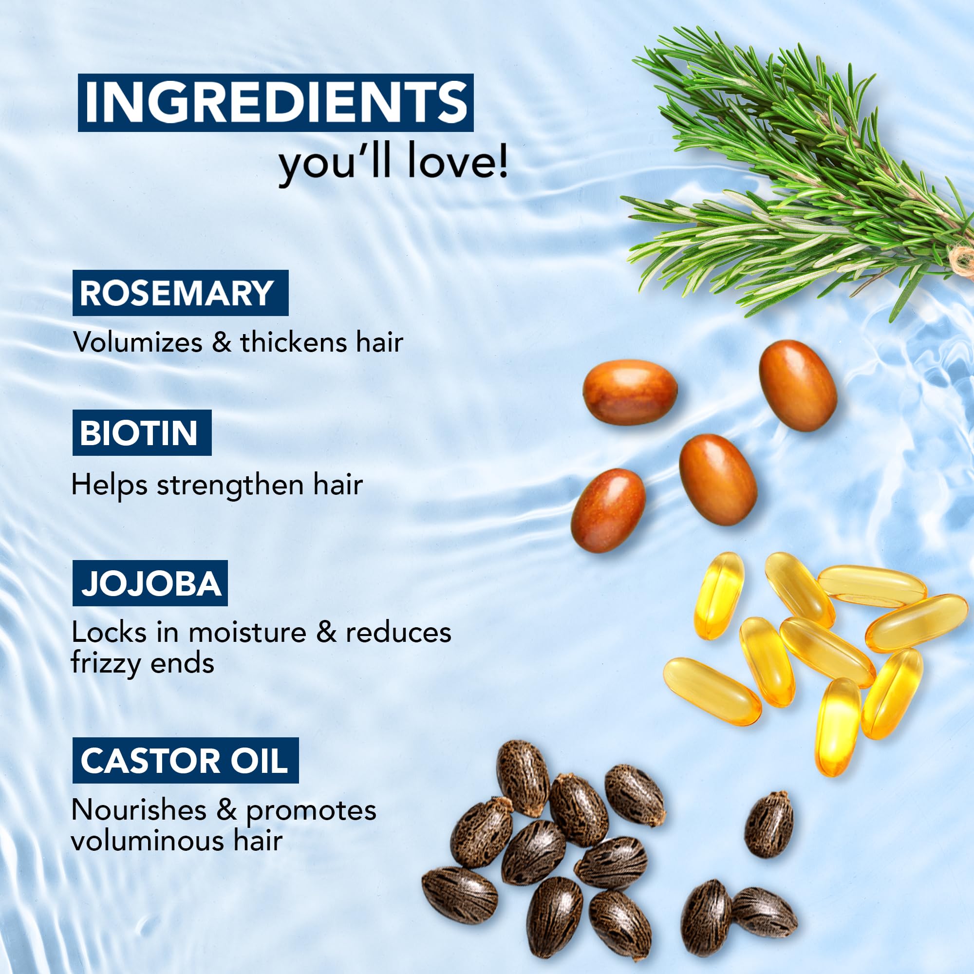 Botanic Hearth Rosemary Oil for Hair Growth | Anti Hair Fall & Hair Strengthening Oil | Promotes Thicker, Healthier Hair | 100% Pure | 198 ml